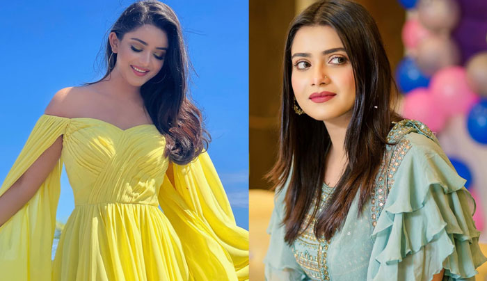 ফাঁস হওয়া ক্লিপ বমি ছিলাম না: তানজিন তিশা